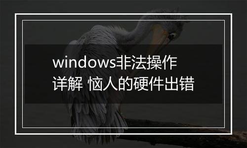 windows非法操作详解 恼人的硬件出错