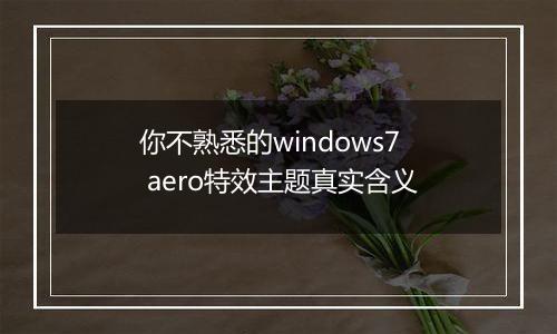 你不熟悉的windows7 aero特效主题真实含义