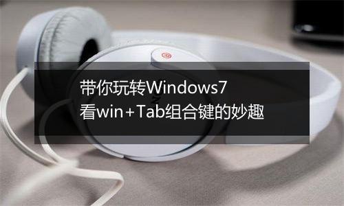 带你玩转Windows7  看win+Tab组合键的妙趣