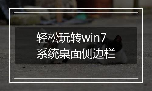 轻松玩转win7系统桌面侧边栏