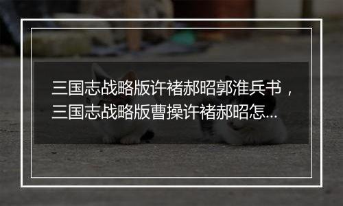 三国志战略版许褚郝昭郭淮兵书，三国志战略版曹操许褚...