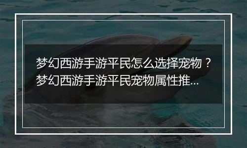 梦幻西游手游平民怎么选择宠物？梦幻西游手游平民宠物...