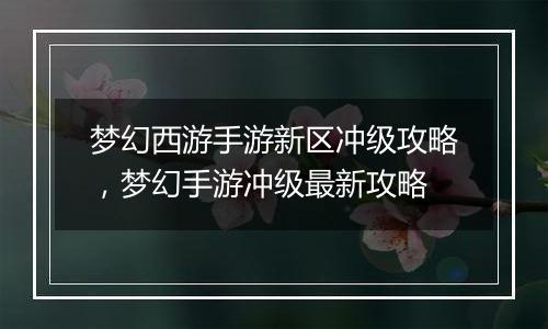 梦幻西游手游新区冲级攻略，梦幻手游冲级最新攻略