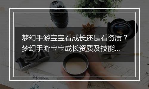 梦幻手游宝宝看成长还是看资质？梦幻手游宝宝成长资质...
