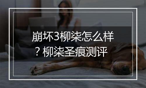 崩坏3柳柒怎么样？柳柒圣痕测评