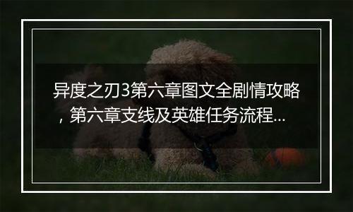 异度之刃3第六章图文全剧情攻略，第六章支线及英雄任务...
