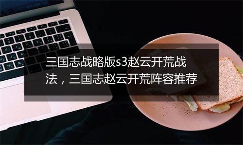三国志战略版s3赵云开荒战法，三国志赵云开荒阵容推荐