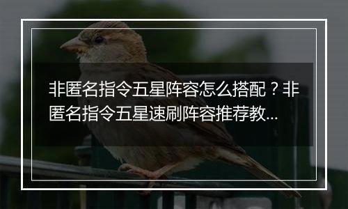 非匿名指令五星阵容怎么搭配？非匿名指令五星速刷阵容...