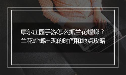 摩尔庄园手游怎么抓兰花螳螂？兰花螳螂出现的时间和地...