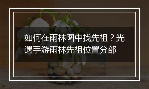 如何在雨林图中找先祖？光遇手游雨林先祖位置分部