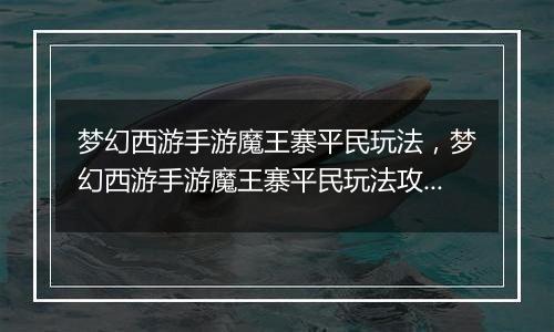 梦幻西游手游魔王寨平民玩法，梦幻西游手游魔王寨平民...